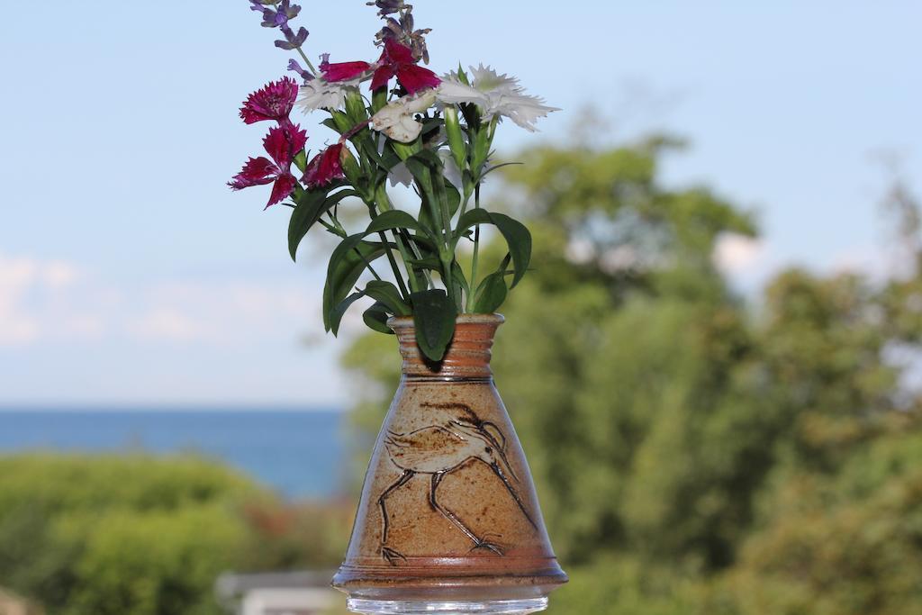 Hotel Zum Strandlaufer Ahrenshoop Oda fotoğraf