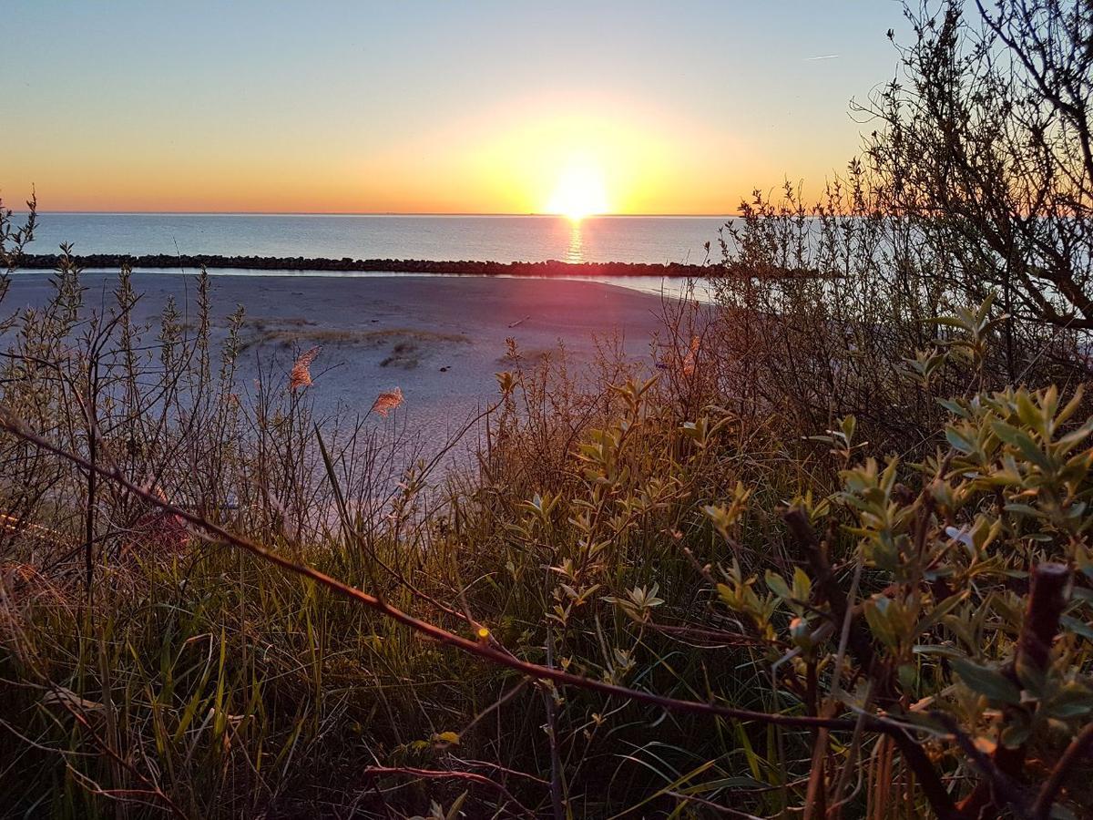 Hotel Zum Strandlaufer Ahrenshoop Dış mekan fotoğraf